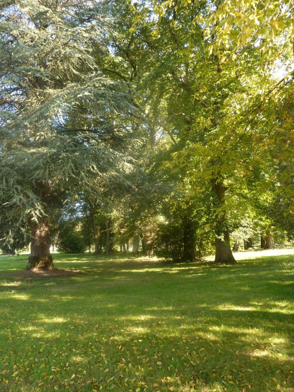 Domaine De Chaligny Hostel Saint-Hilaire-en-Morvan Kültér fotó